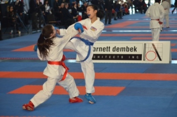 bka-karate-kick